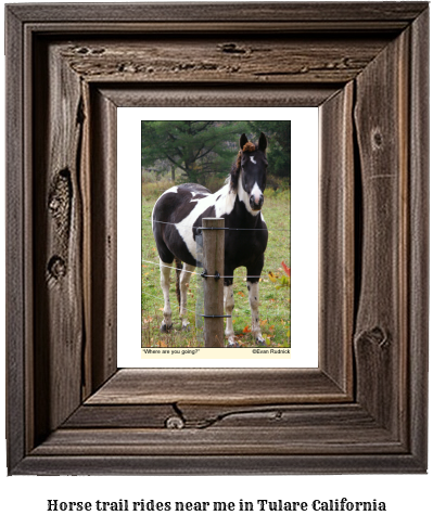 horse trail rides near me in Tulare, California